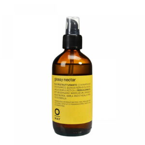 Glossy Nectar 160 ml